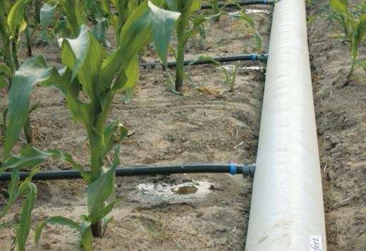 Produzione manichette per irrigazione